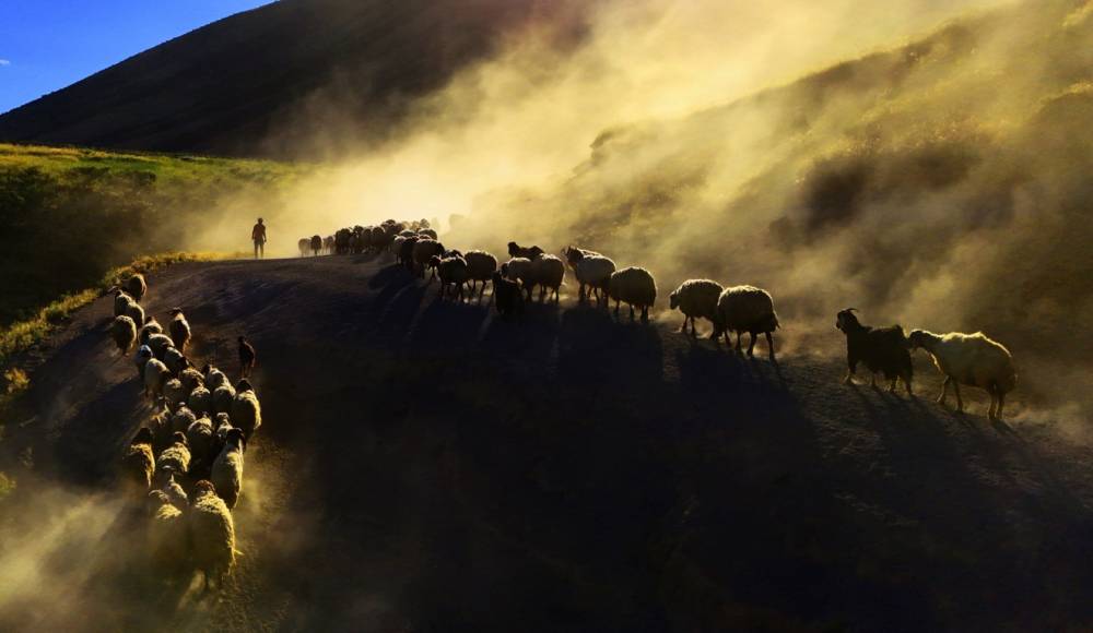 Nemrut Dağı'na Yayla Yolculuğu Başladı! 6