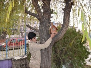 Iğdır’da Kuş Yuvası Projesi