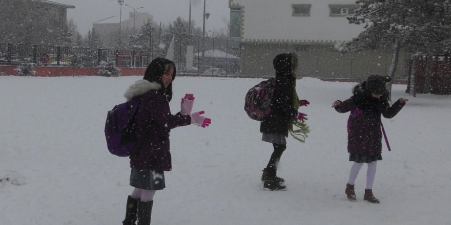 Ardahan’da Okullar Tatil Edildi