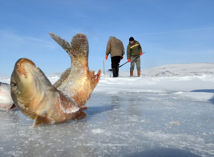 'Eskimo Usulü' Balık Avlıyorlar