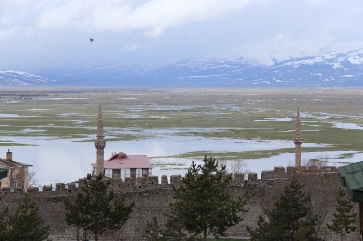 Baharda Ardahan ve Kura Nehri