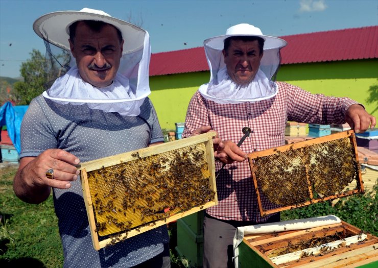 Ardahan'da 'Bal Sağımı' Başladı