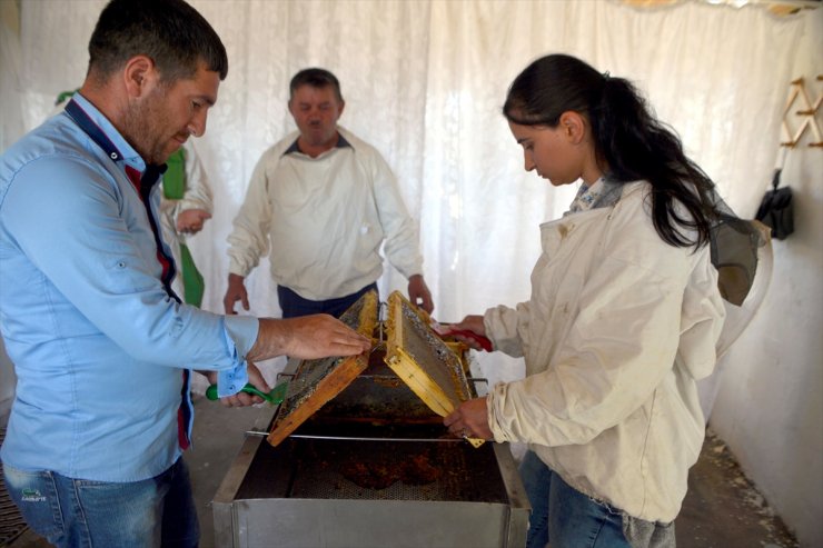 Ardahan'da 'Bal Sağımı' Başladı