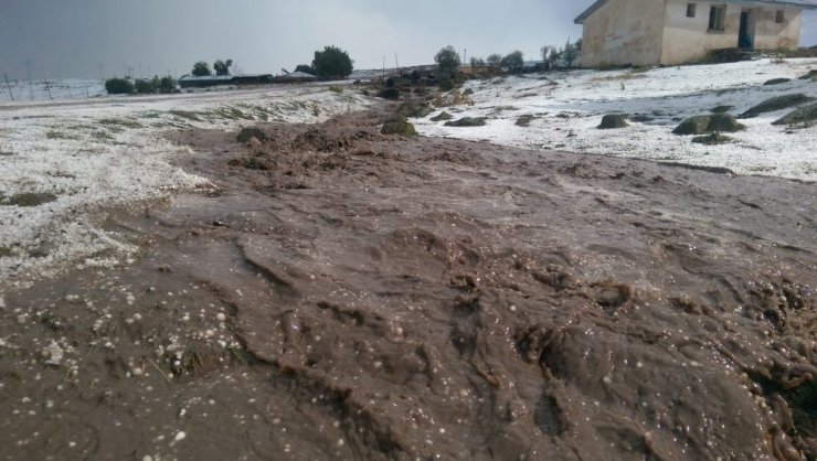 Ardahan’da Dolu Yağışı Hayatı Felce Uğrattı