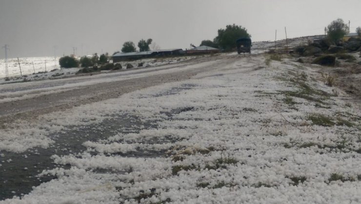 Ardahan’da Dolu Yağışı Hayatı Felce Uğrattı