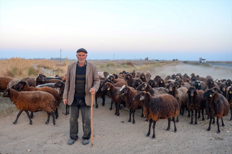 Ağrı Dağı'nın Son Yaylacıları Ovaya İndi