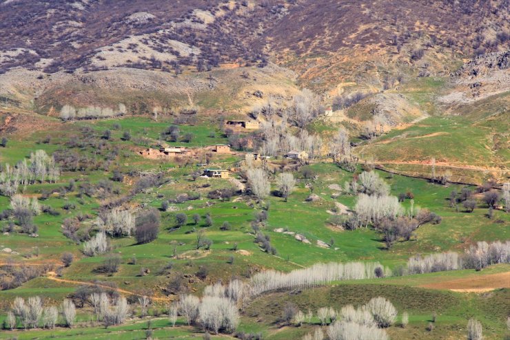 Munzur Vadisi İlkbaharda Bir Başka Güzel