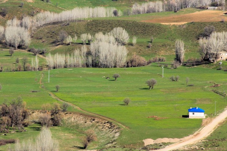 Munzur Vadisi İlkbaharda Bir Başka Güzel