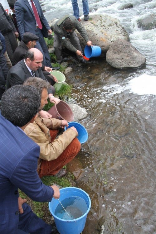 Kırmızı Benekli Alabalıklar Doğaya Salındı